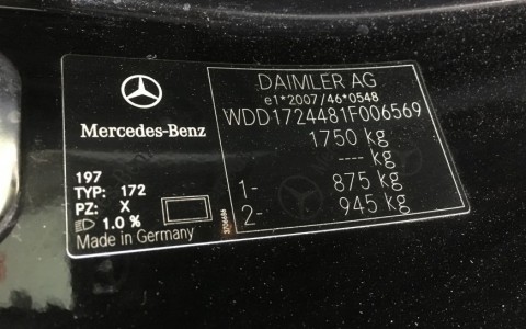 Mercedes SLK 200 BlueEfficiency 184cv WDD1724481F006569